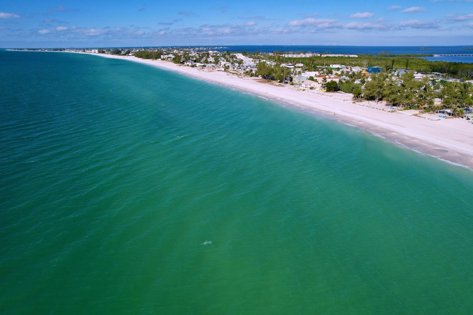 Holmes Beach Trio C